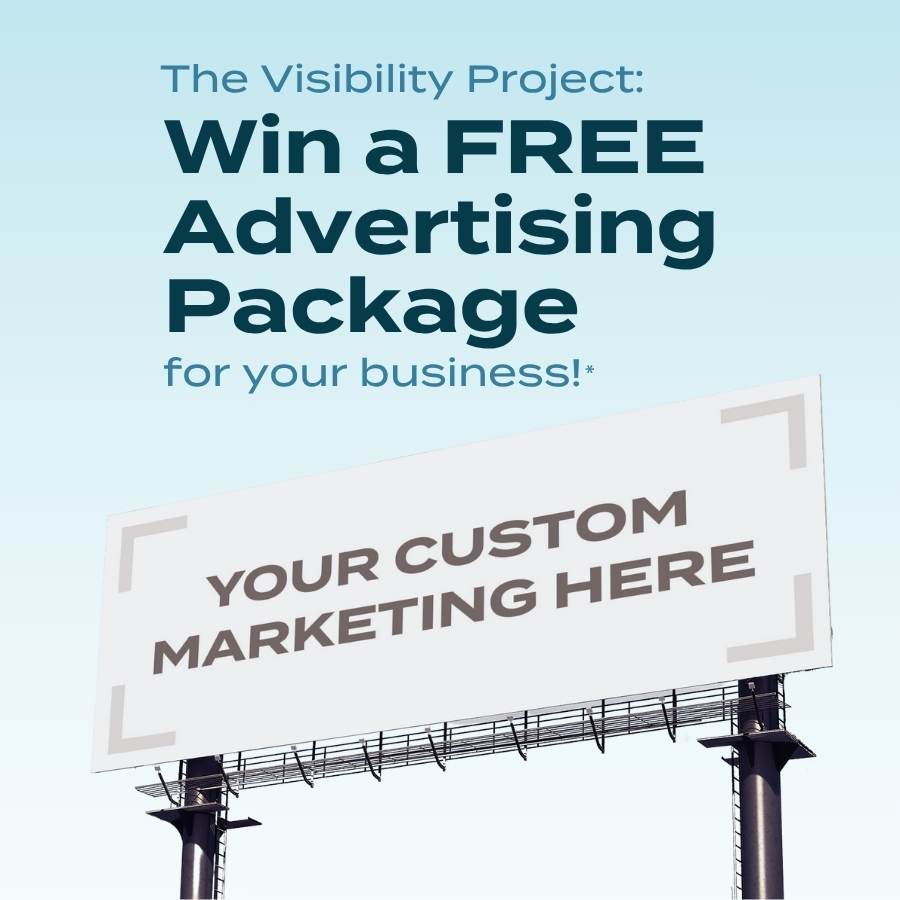 The Visibility Project logo