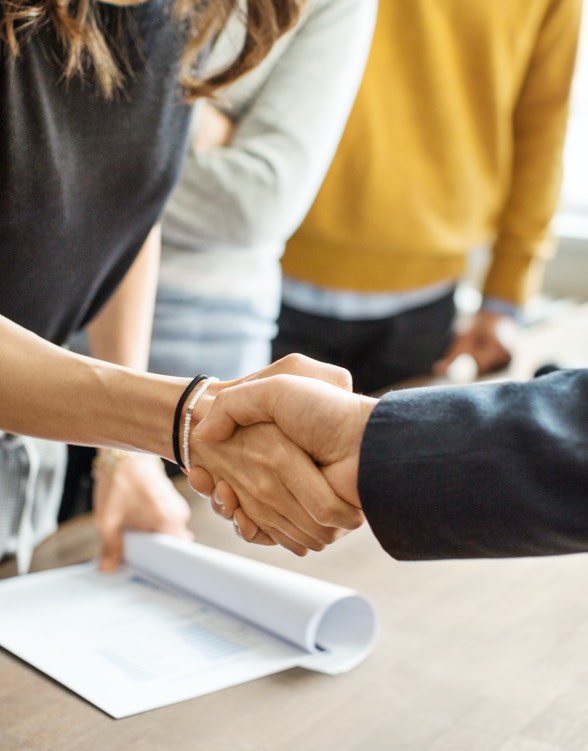 people engaged in a handshake