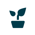 plant icon