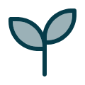 plant icon